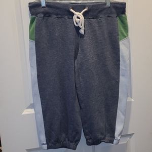 Roxy cropped sweats